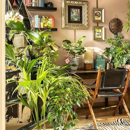 Апартаменты Maison Deco: 60 Mq Di Accoglienza *